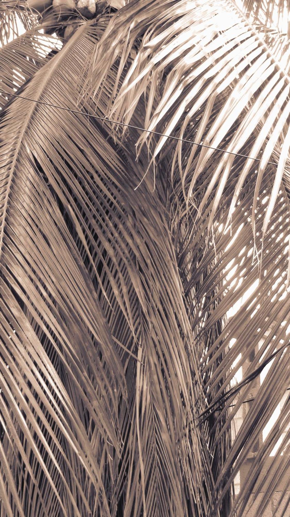 Appartamento Cocos Cancún Esterno foto