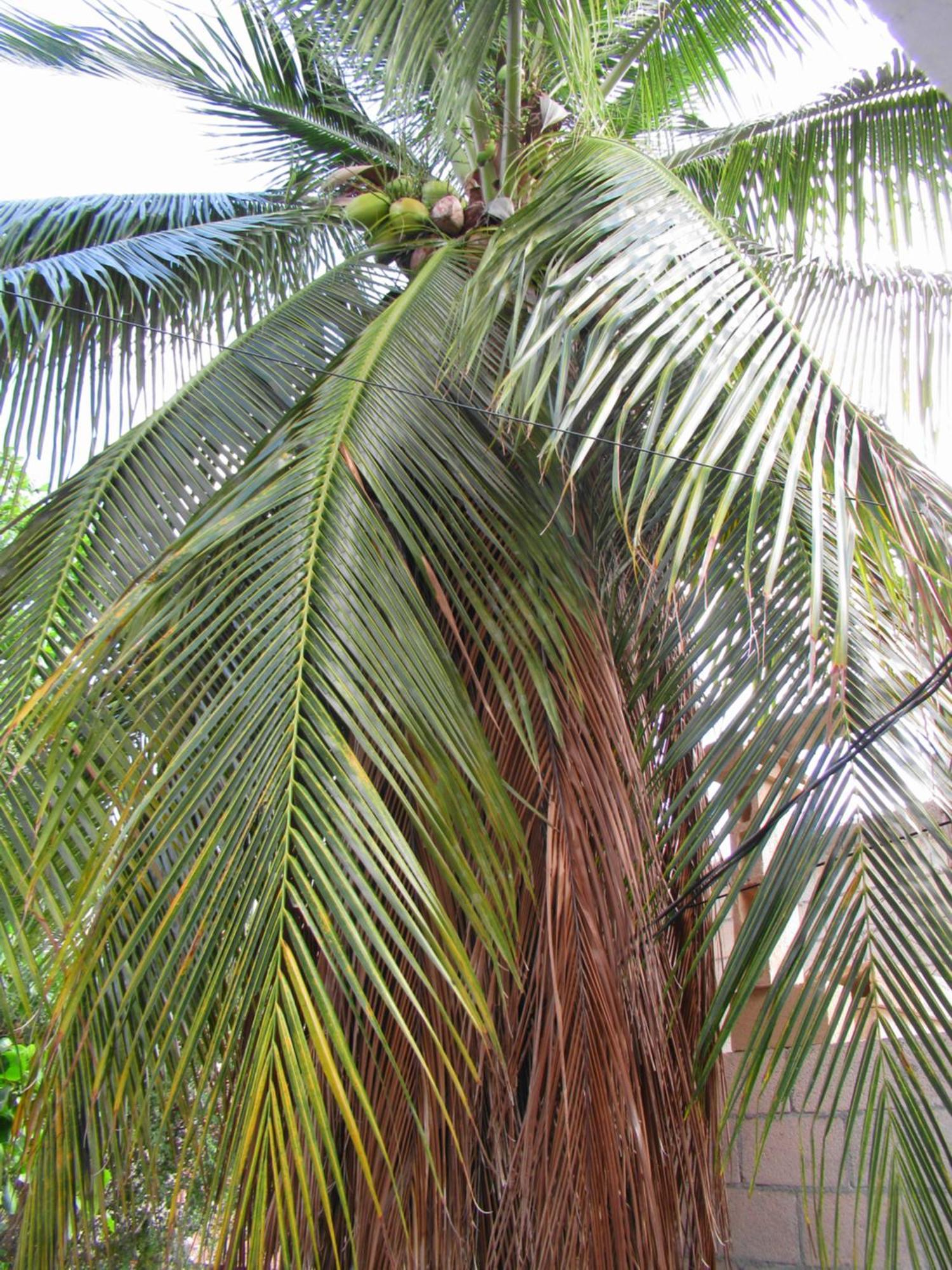 Appartamento Cocos Cancún Esterno foto